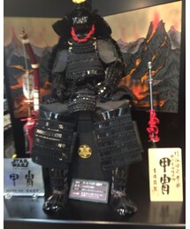 甲冑ベイダー | フィギュア