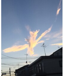 鳳翼天翔 | 福袋/福箱