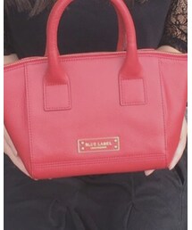 bluelabel | ボストンバッグ