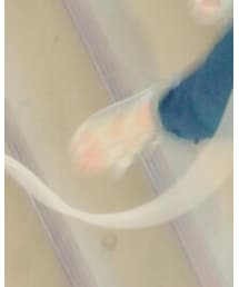 友達とオソロイ | サンダル