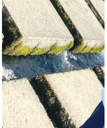 UNIQLO | トップス