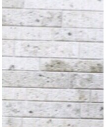 used | シャツ/ブラウス