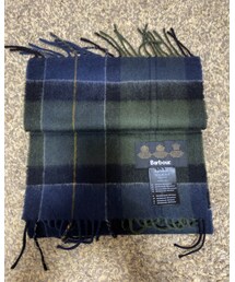 Barbour | マフラー