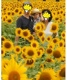 🌻 | スキンケア