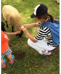 動物との触れ合い✨ | その他