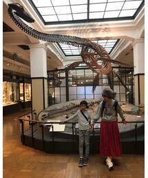 息子が大好きな恐竜🎵 | その他