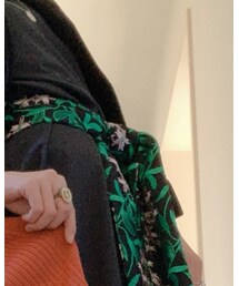 PARIGOT | ワンピース