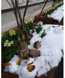 うさちゃん | フィギュア