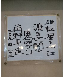 卓造 | 福袋/福箱