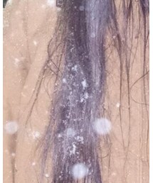 Carhartt | カバーオール