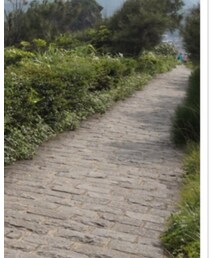 COCO DEAL | スタジャン