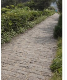 COCO DEAL | チュニック