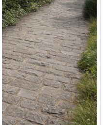 CITIZEN | アナログ腕時計