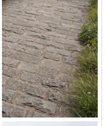 TITTY&CO. | ネックレス