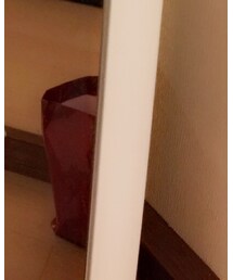 VIVIANNA | つなぎ/オールインワン