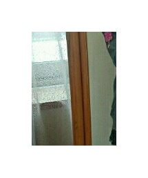 新谷良子ライブグッズ | パーカー