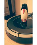 irobotの「PC・スマホグッズ/家電(生活家電)」