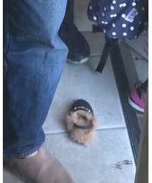 BEAUTY&YOUTH UNITED ARROWS | スリッポン