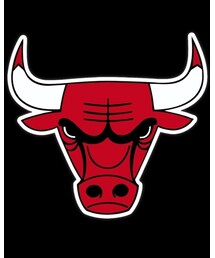 MIGHTY-MAC | CHIKAGO BULLS(ナイロンジャケット)