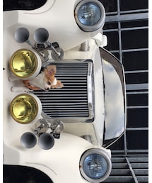 🐶🚗 | その他