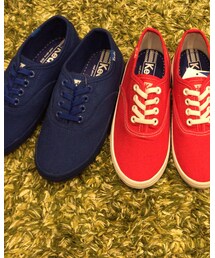 Keds | スリッポン