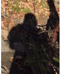 親友の影 | その他