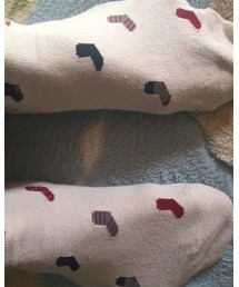 Tabio | ソックス/靴下