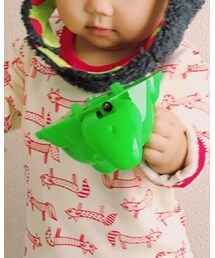 ワニ🐊 | おもちゃ