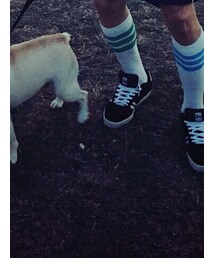 adidas | レッグウェア