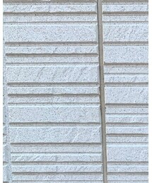 B:MING by BEAMS | Tシャツ/カットソー