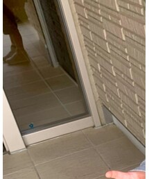 Champion | パーカー