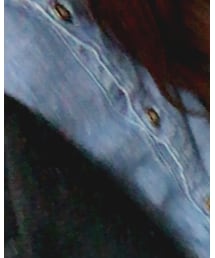 CECIL McBEE | シャツ/ブラウス