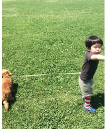 無印良品 | Tシャツ/カットソー