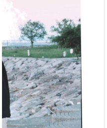 VETEMENTS | Tシャツ/カットソー