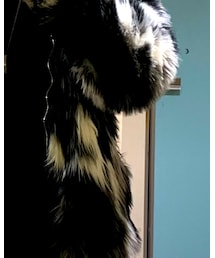 lisa pulster | モッズコート