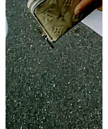 LOUIS VUITTON | 財布