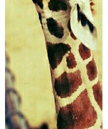 キリン | 
キリン(その他)