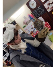 ふくろうカフェ | その他