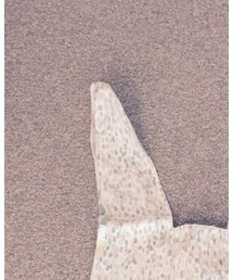 mina perhonen | バッグ