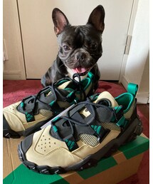 adidas | スニーカー
