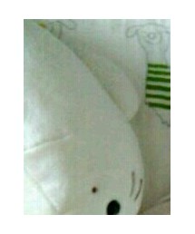 しろたん | 雑貨/ホビー