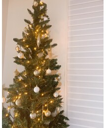 クリスマスツリー🎄 | その他