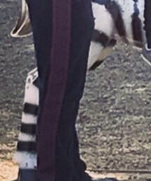 Needles | その他パンツ