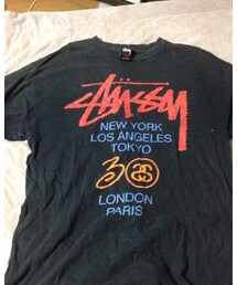 STUSSY | 鹿児島限定でこいつ一枚でいい味出します！(Tシャツ/カットソー)