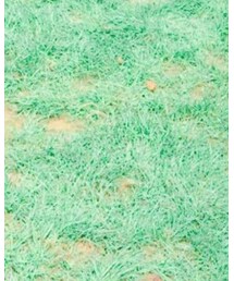 CIAOPANIC TYPY | デニムパンツ