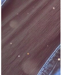 Hollister | シャツ/ブラウス