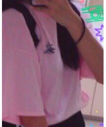 STUSSY | Tシャツ/カットソー