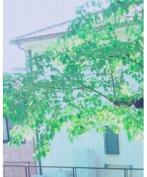 Dr. Martens | ドレスシューズ