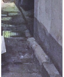 UNIQLO | カーゴパンツ