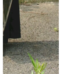 FRUIT OF THE LOOM | バッグ